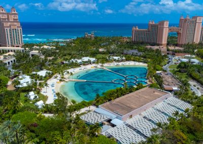Atlantis Chilled Water Line for Dolphin Cay